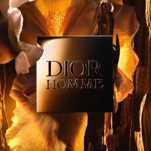 Dior Homme Erkek Parfüm 75 Ml - Thumbnail